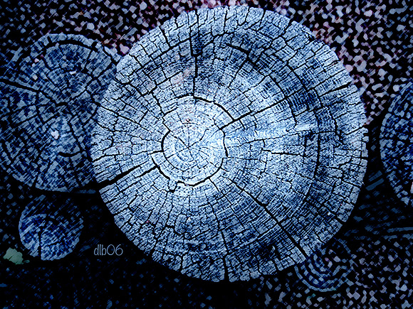 Stumped Again- Night