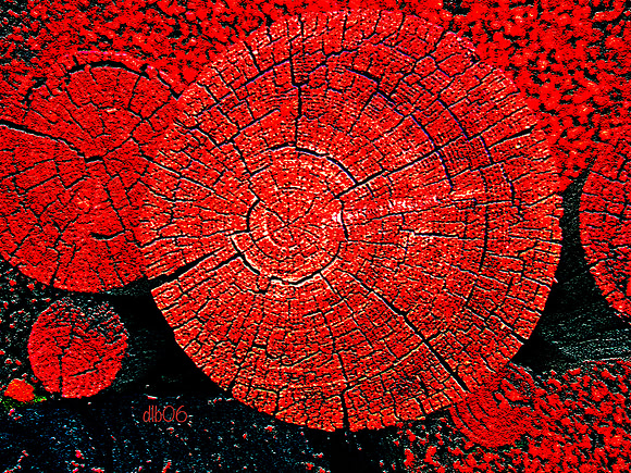 Stumped Again- RED!