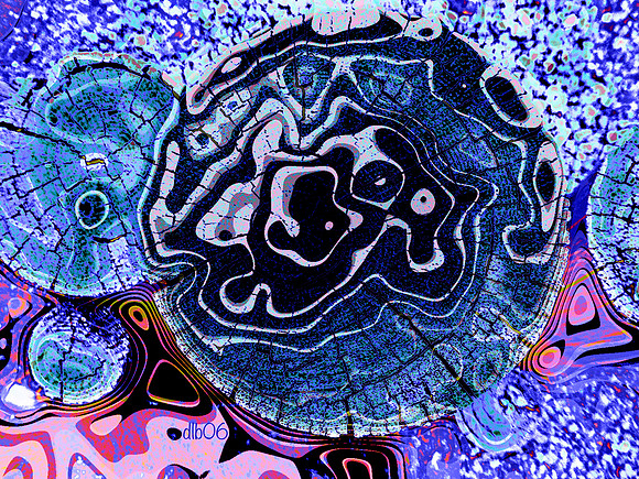 Stumped Again- Retro Blue