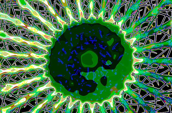 It All Started With A Cactus- Eclipse