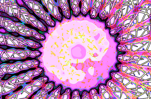It All Started With A Cactus- Liquid Pink