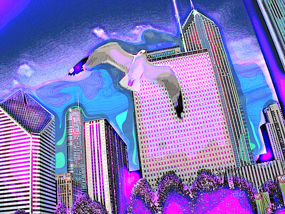 Cruising Over the Bean (blue, pink)