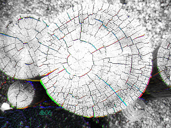 Stumped Again-Gently Neon