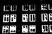 Windows, Windows...Binary