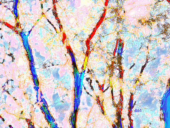 Seasons of Trees- Summer 5