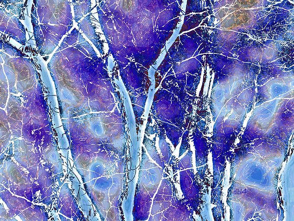 Seasons of Trees- Winter 4