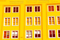 Windows, Windows... Let the Sun Shine In!