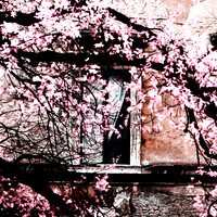 Roman Window- Spring