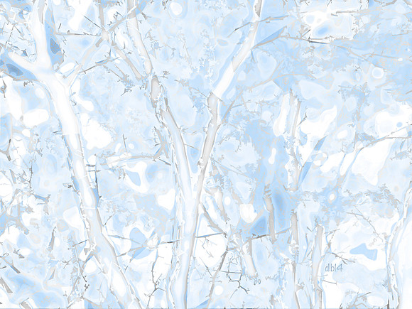 Seasons of Trees- Winter 3