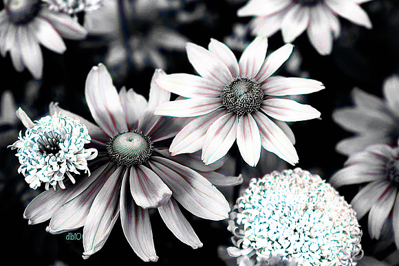 We Are Gathered Here- Touched By Color