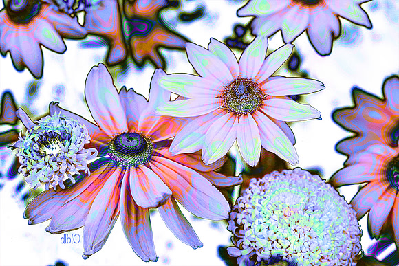 We Are Gathered Here- Color Gone Wild