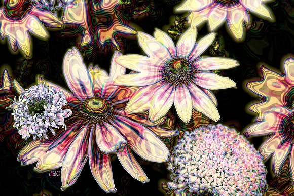 We Are Gathered Here- Color Lines