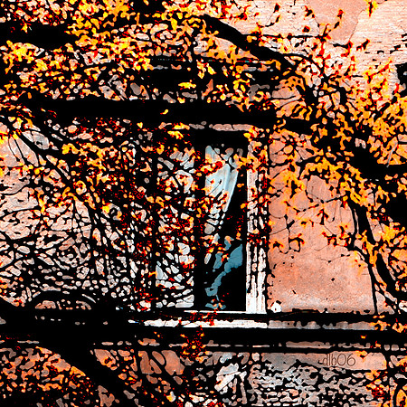Roman Window- Fall