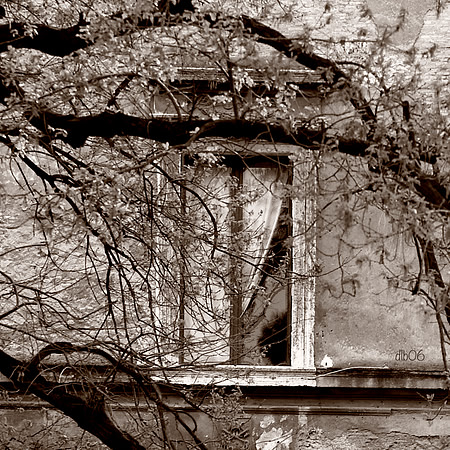 Roman Window- Sepia