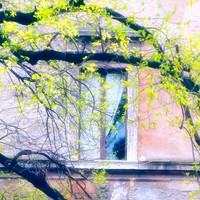 Roman Window