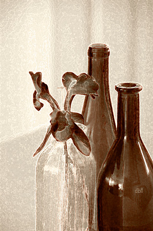 Bottles For Memories (sepia)